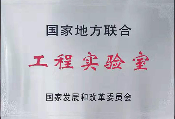 国家地方联合工程实验室