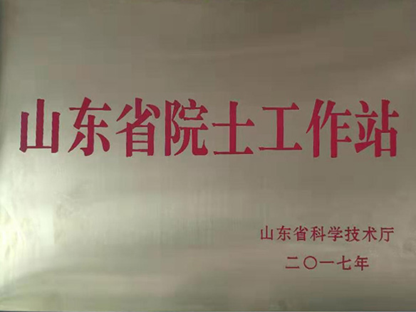 山东省院士工作站
